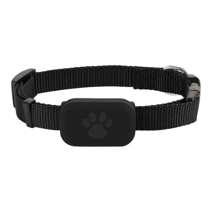 Localizador inteligente para perros